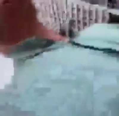 Assim que os gringos vão aprender português kkkk