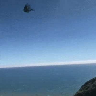 to throw a tree branch