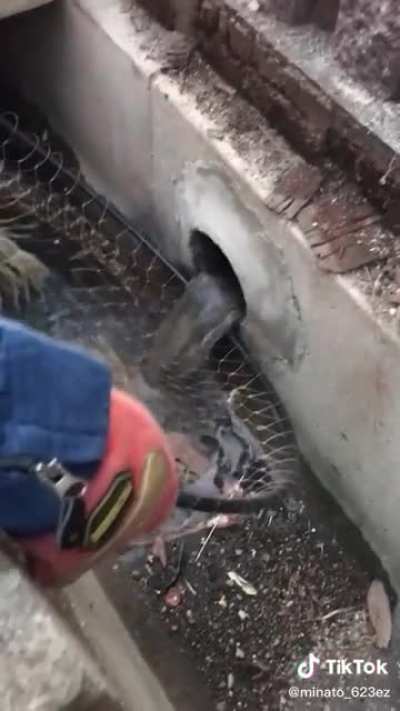 Drain fishing