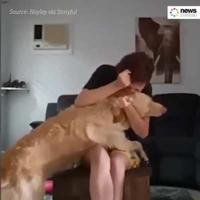 Awesome Dog Help Owner