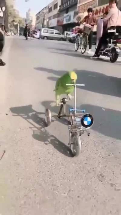 A different BMWð