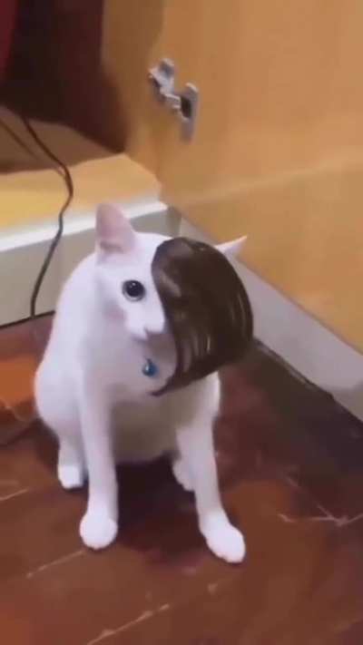 🗿