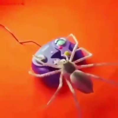 spooder
