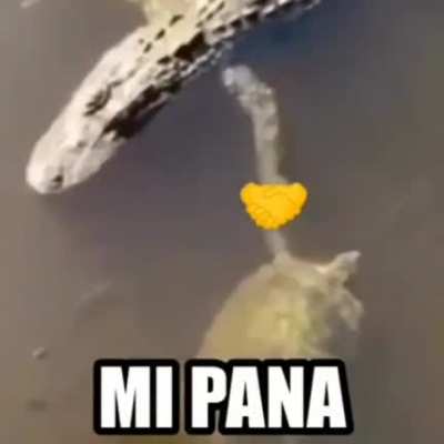 Mi pana🤝