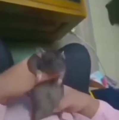 how