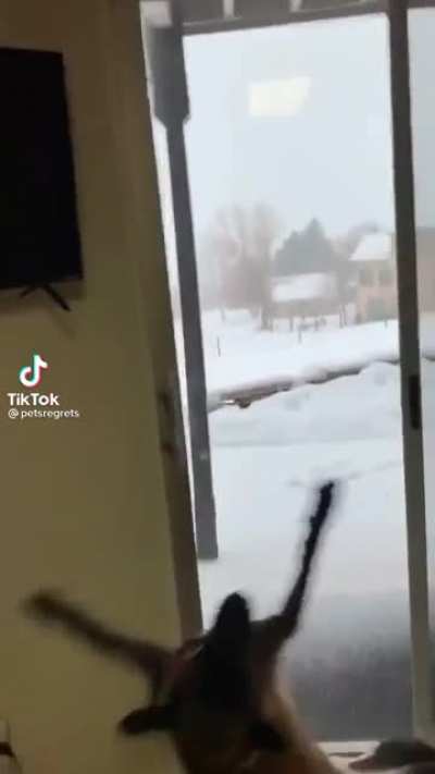 Fox is running to tell his friends.