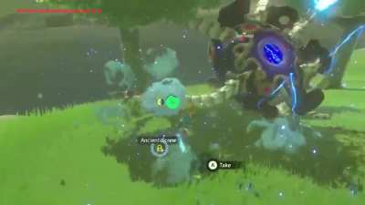 [BOTW] I love the fact that you can actually do this