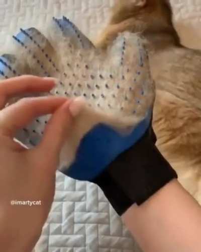 The fur hat at the end made it