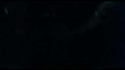 Galaxy Of Terror (1981): girl  sexed by alien slug with tentacles