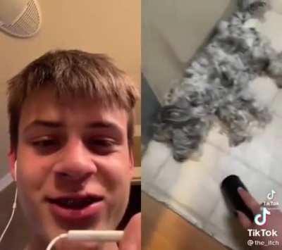 look at the dog!