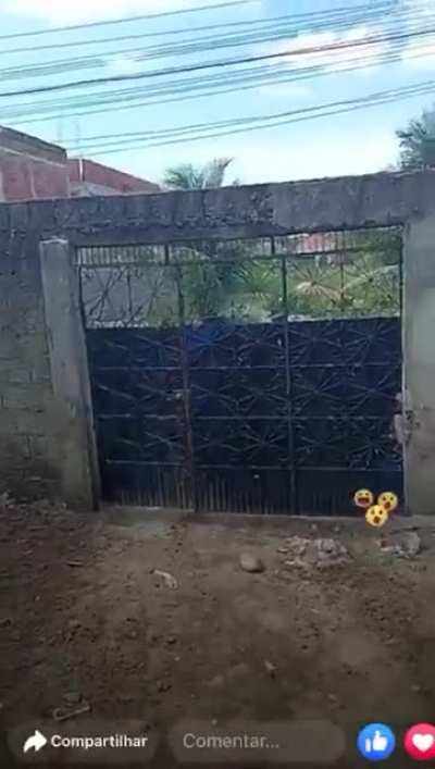 Brasil causando na GRINGA