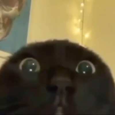 Pum