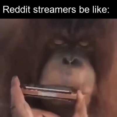 Poggers