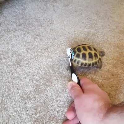so cute