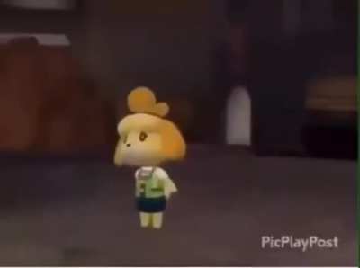 I HaTE ANIMALK CROSSING !!! !