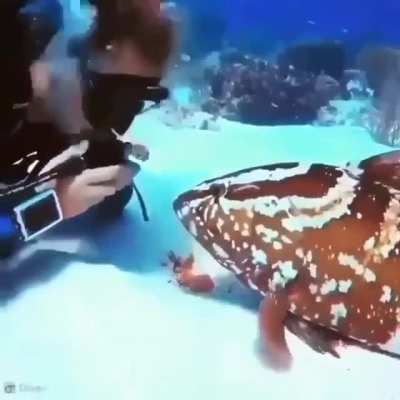 У каждого своя живно<wbr>сть