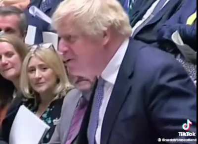 Get this man in parliament