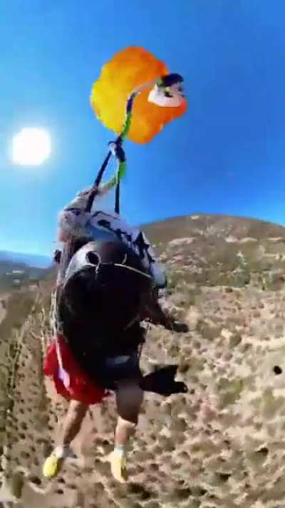 Paraglider gets tangled in parachute and plummets to earth