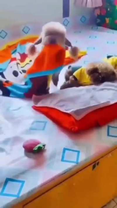 Putting the kids to bed