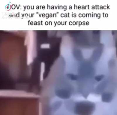 Delicious
