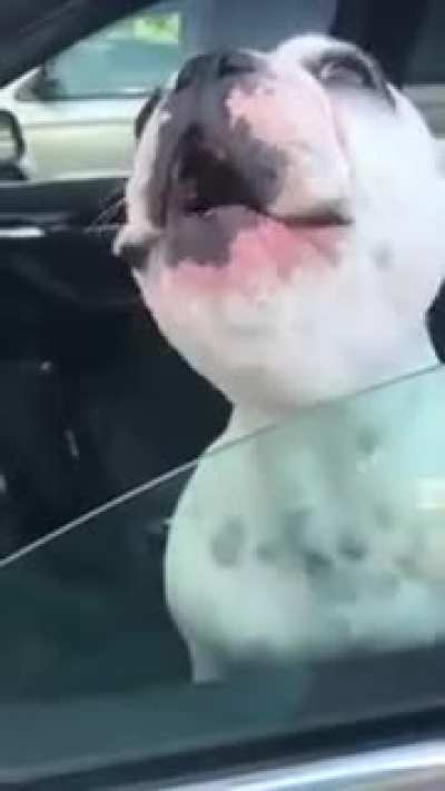 RRrruUUUUaaaAAAAaaaAAA