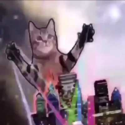 idk what this is but i like it
