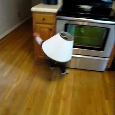 bonk
