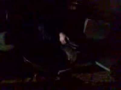 12 years ago on my broken phone, my friend Charlie played around with BBQ gas and a lighter.