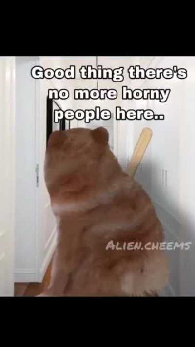Bonk
