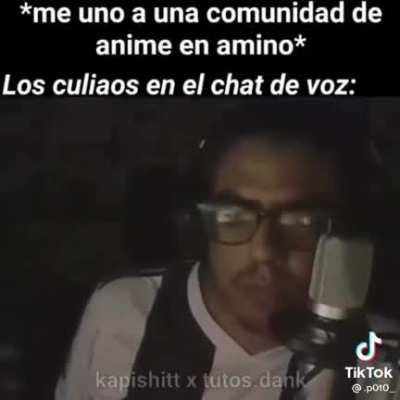Xd