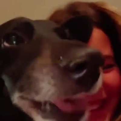 tobia ta puto
