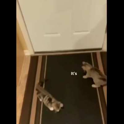 a little jumpy