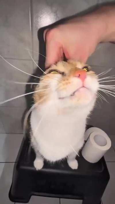 hdsgajhsgsfdjhsdgv 
