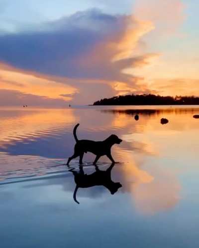 Sunset walk