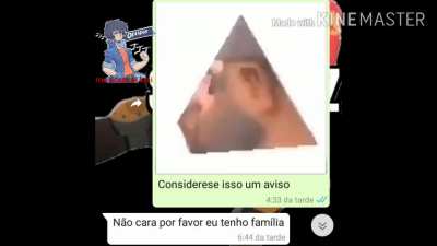 A coisa mais aleatório que tu aí viu