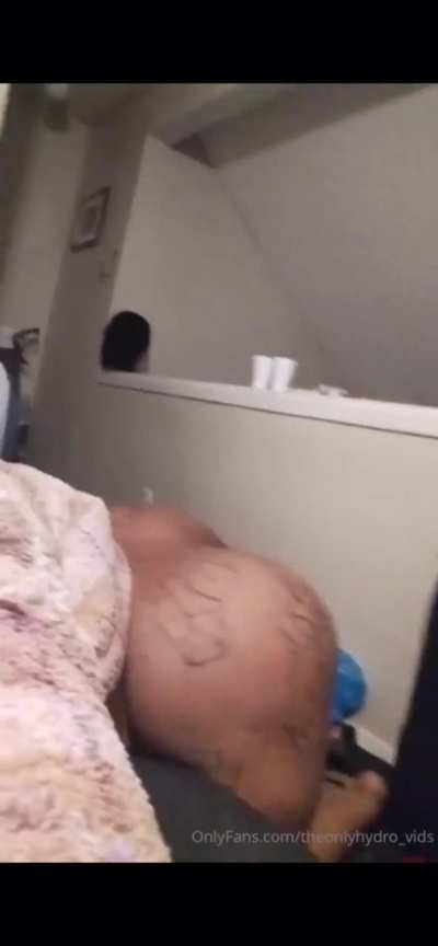 Donkey Booty
