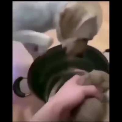 –𝐄𝐥 𝐡𝐨𝐦𝐛𝐫𝐞 𝐦𝐮𝐞𝐫𝐞 𝐜𝐮𝐚𝐧𝐝𝐨 𝐥𝐨 𝐚𝐬𝐞𝐬𝐢𝐧𝐚𝐧– Gente, no tengo novia