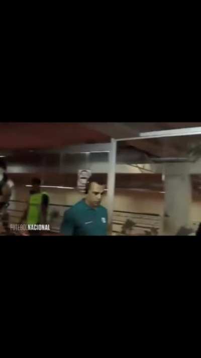 Momentos marcantes do Treinador Brasileiro compilados em ordem dramática! Entrevistas bizonhas, porradaria, mau humor e ego inflado. É o puro suco decadente do país do futebol, meus comanches.