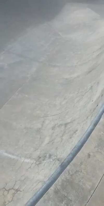 I saw the craziest thing at the skatepark today