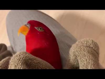 Uewueuwuewuew