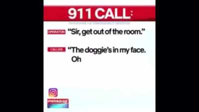 I like dogs.