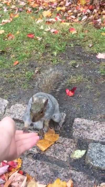 high five. I hope he was happy but we all know he was disappointed