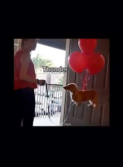 thunder