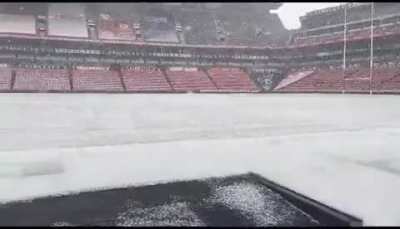 Meanwhile at Ellis Park