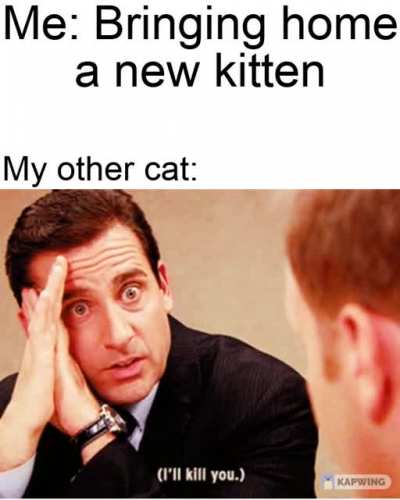 My cats a dick.
