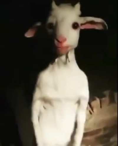 Asriel