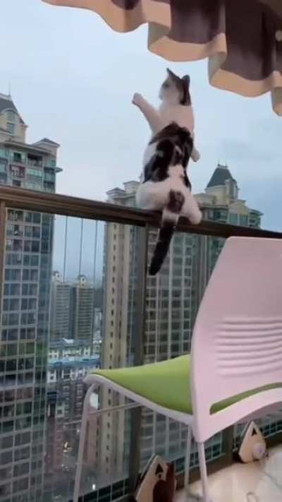 Don’t scare me like that, kitty...