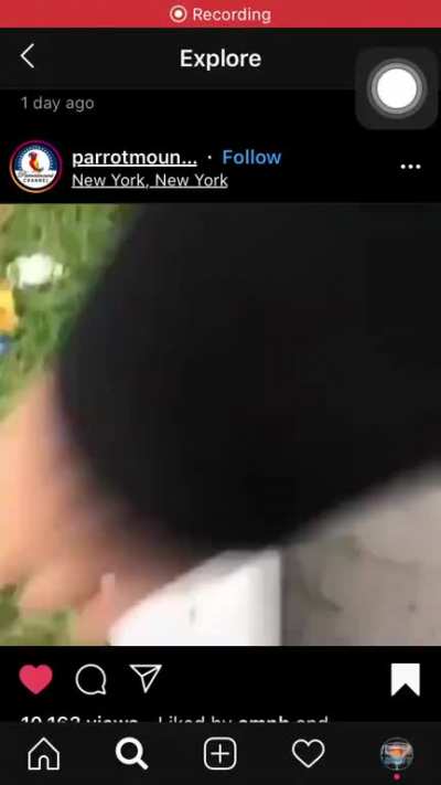 Found a pretty funny post on Instagram (can’t edit cuz Reddit ) the bird was not harmed