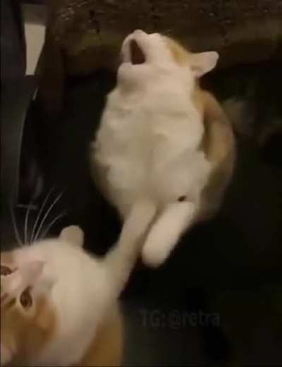 accidental punch! 