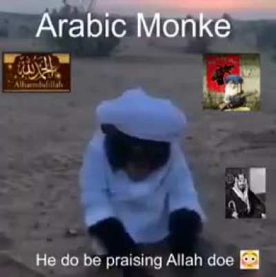 Arab monke